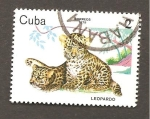 Stamps Cuba -  CAMBIADO DM