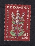 Sellos de Europa - Rumania -  Plantas