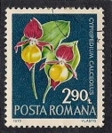 Stamps Romania -  Plantas
