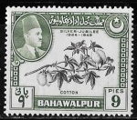 Stamps : Asia : Pakistan :  Bahawalpur-cambio