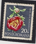 Stamps Romania -  Plantas