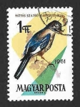 Stamps Hungary -  1429 - Arrendajo Euroasiático