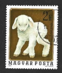 Stamps Hungary -  2327 - Animales Jóvenes