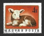 Stamps Hungary -  2328 - Animales Jóvenes