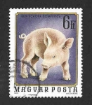 Stamps Hungary -  2329 - Animales Jóvenes