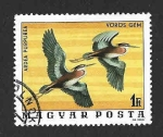 Stamps Hungary -  2459 - Aves del Parque Nacional Hortobagy