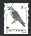Stamps Hungary -  2800 - Aves Rapaces Protegidas 