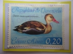 Stamps Venezuela -  Güiriri (Dendrocygna autumnalis)