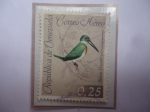 Stamps Venezuela -  Martín Pescador (Chloroceryle amazona)