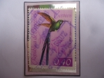 Stamps Venezuela -  Colibrí Cola Larga (Agloioceus Kingi)