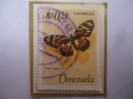 Sellos de America - Venezuela -  Papilio zagreus 