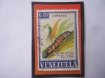 Stamps Venezuela -  Cogollero del Maíz (Laphygma frugiperda) 