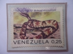Sellos de America - Venezuela -  Tigra Mariposa (Bothrops venezuelensis)