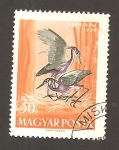Stamps Hungary -  CAMBIADO CR