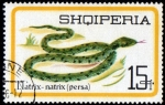 Stamps Albania -  Natrix Natrix