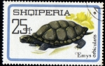 Stamps Europe - Albania -  Emys Orbicularis