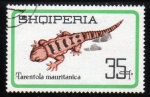 Stamps Albania -  Tarentola Mauritanica