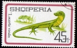 Stamps Albania -  Lacerta Viridis