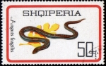 Stamps Albania -  Anguis Fragilis