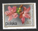 Stamps Poland -  1935 - Arbustos de Flores