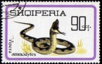 Stamps Albania -  Vipera Ammodytes