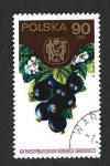 Stamps Poland -  2050 - XIX Congreso Internacional Hortícola