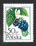 Stamps Poland -  2199 - Frutas del Bosque
