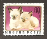 Stamps Hungary -  INTERCAMBIO