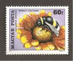 Stamps Hungary -  INTERCAMBIO