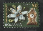 Sellos de Europa - Rumania -  5693 - Flores y relojes en el Museo del Reloj