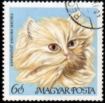 Stamps : Europe : Hungary :  Gatos: Angora crema