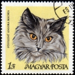 Stamps : Europe : Hungary :  Gatos:  Angora Gris