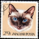 Stamps Hungary -  Gatos: Siames