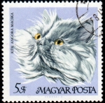 Sellos de Europa - Hungr�a -  Gatos: Angora azul