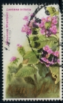 Stamps : Africa : Kenya :  KENIA_SCOTT	254