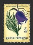 Sellos de Europa - Rumania -  2152 - Flor de Pasque