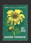 Sellos de Europa - Rumania -  2153 - Flor Ojo de Perdiz