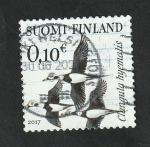 Stamps Finland -  2467 - Glangula hyemalis