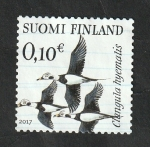 Stamps Finland -  2467 - Glangula hyemalis