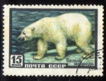 Stamps : Europe : Russia :  Animales: Oso polar