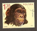 Stamps Poland -  CAMBIADO DM