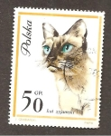 Stamps Poland -  CAMBIADO DM