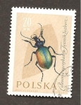 Stamps Poland -  CAMBIADO DM