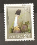 Stamps Poland -  CAMBIADO DM