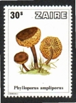 Stamps Democratic Republic of the Congo -  1 Phylloporus ampliporus