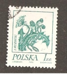 Stamps Poland -  INTERCAMBIO