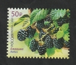 Stamps Russia -  Arándanos