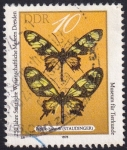 Stamps Germany -  Papilio hahneli