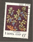 Stamps Russia -  CAMBIADO DM