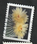Stamps United States -  5193 - Flor